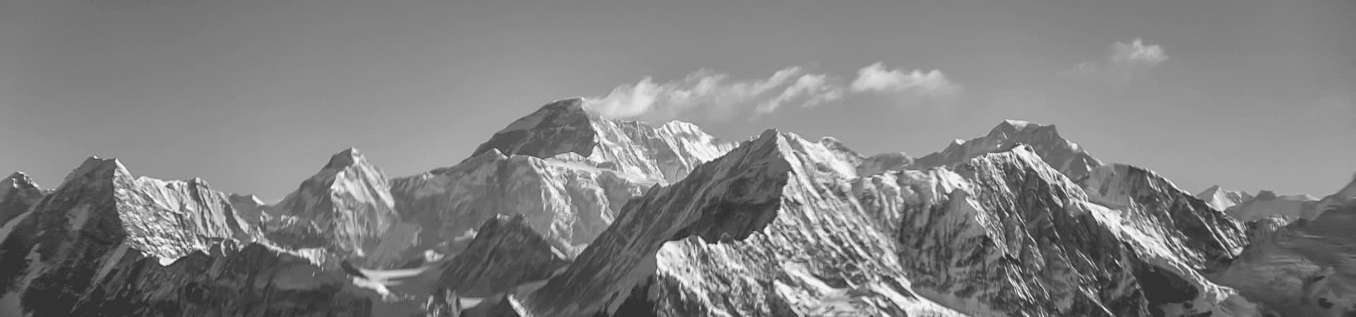 Quixilon banner 3